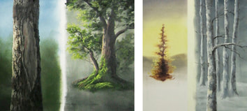 landscape tree ideas