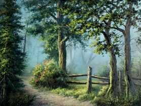 Hidden Trail