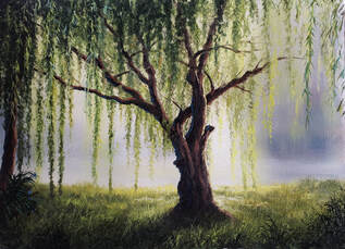Weeping Willow Tree