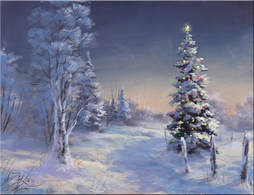 Winter path