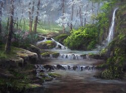 Misty Forest Creek DVD