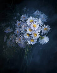 daisy boquet oil painting